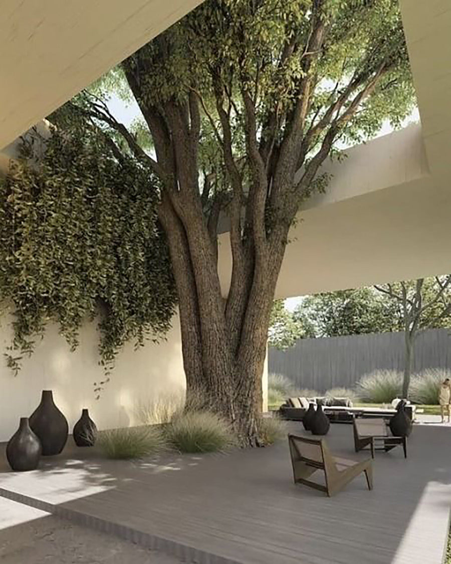 Re-connection with Nature