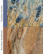 Blue Fields - Lavender and Sandalwood Candle