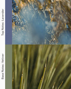 Deep Sleep - Lavender and Vetiver Pillow Spray