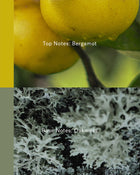 Kings Garden - Citrus and Earthy Natural Perfume