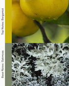 Kings Garden - Citrus and Earthy Natural Perfume