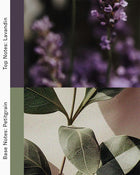 Petrichor - Parfum d'ambiance Deep Earth pour se reposer