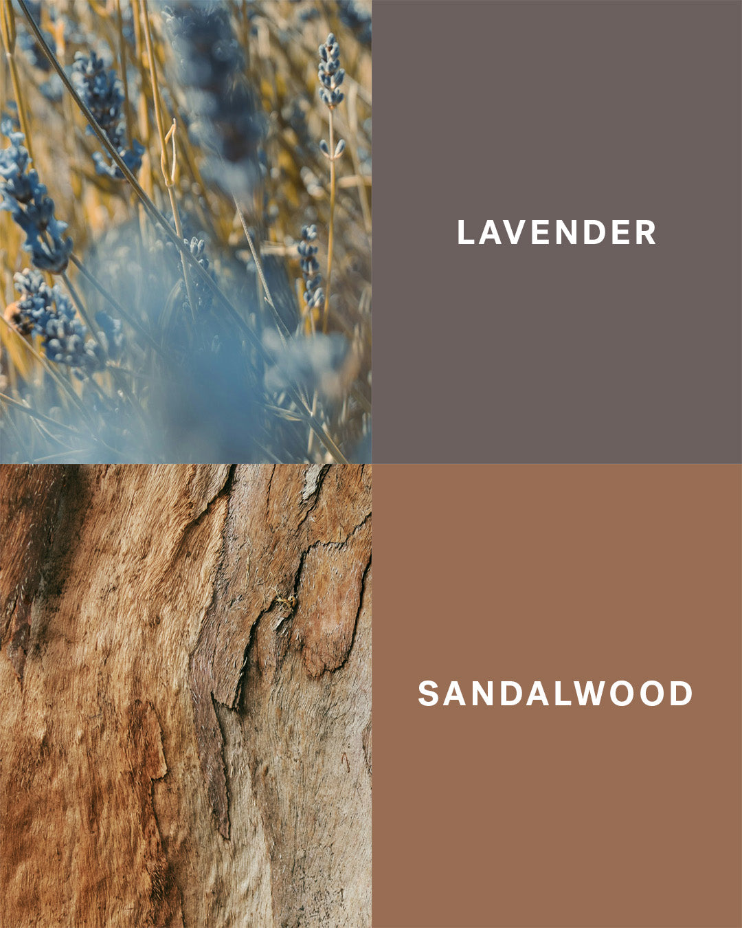 Blue Fields - Lavender and Sandalwood Candle to Rest