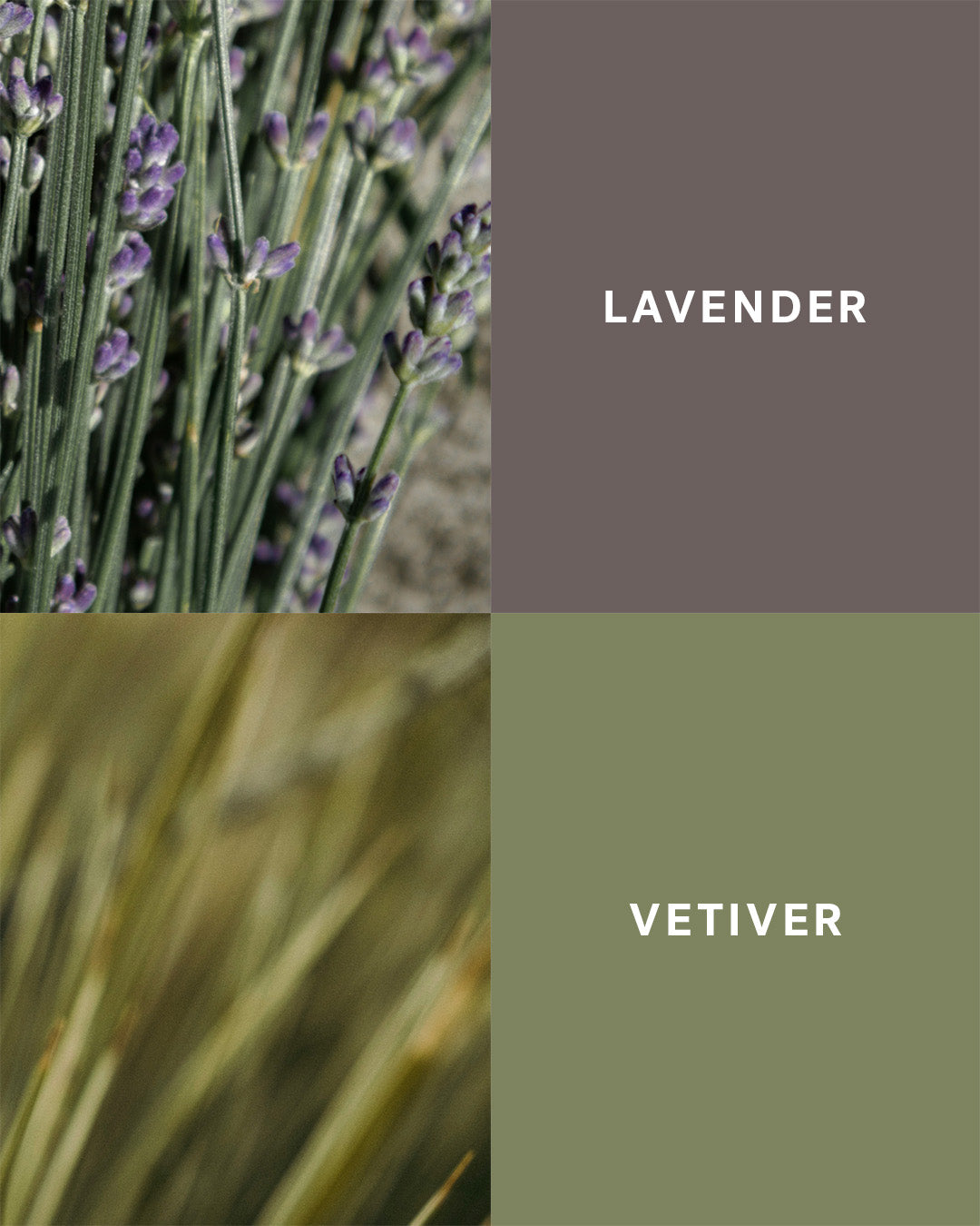 Deep Sleep - Lavender and Vetiver Pillow Spray