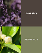 Petrichor - Earth & Freshness Home Fragrance