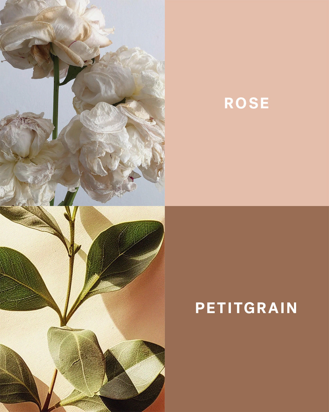 Road to Marrakesh - Rose and Petitgrain Candle