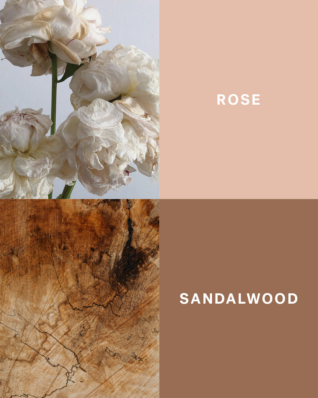 Sunday at 12 - Sandalwood and Rose Home Fragrance